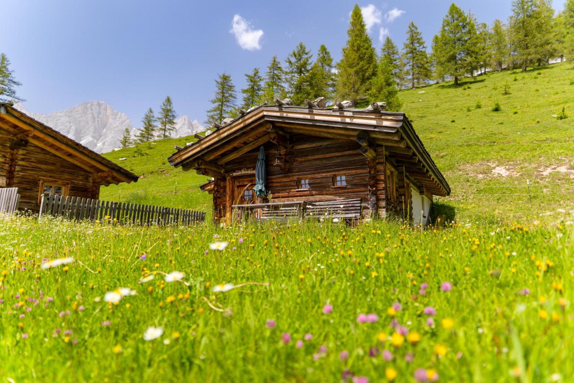 Апартаменти Brandhof Рамзау-ам-Дахштайн Екстер'єр фото